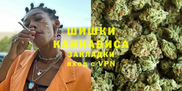 ГАЛЛЮЦИНОГЕННЫЕ ГРИБЫ Бородино