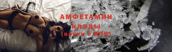 ГАЛЛЮЦИНОГЕННЫЕ ГРИБЫ Бородино