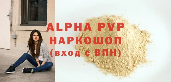 ГАЛЛЮЦИНОГЕННЫЕ ГРИБЫ Бородино