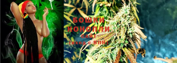 ГАЛЛЮЦИНОГЕННЫЕ ГРИБЫ Бородино
