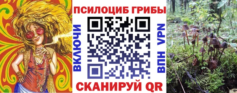 продажа наркотиков  Киреевск  Псилоцибиновые грибы мухоморы 